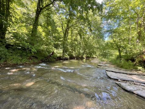 3712 Budds Creek Road Palmyra TN 37142