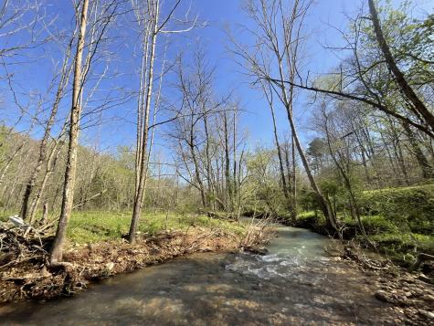 3712 Budds Creek Road Palmyra TN 37142