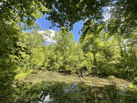 3712 Budds Creek Road Palmyra TN 37142