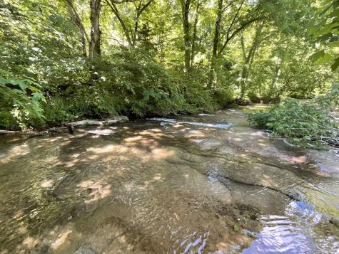 3712 Budds Creek Road Palmyra TN 37142