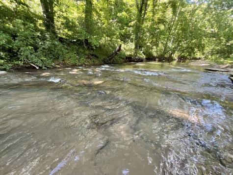 3712 Budds Creek Road Palmyra TN 37142