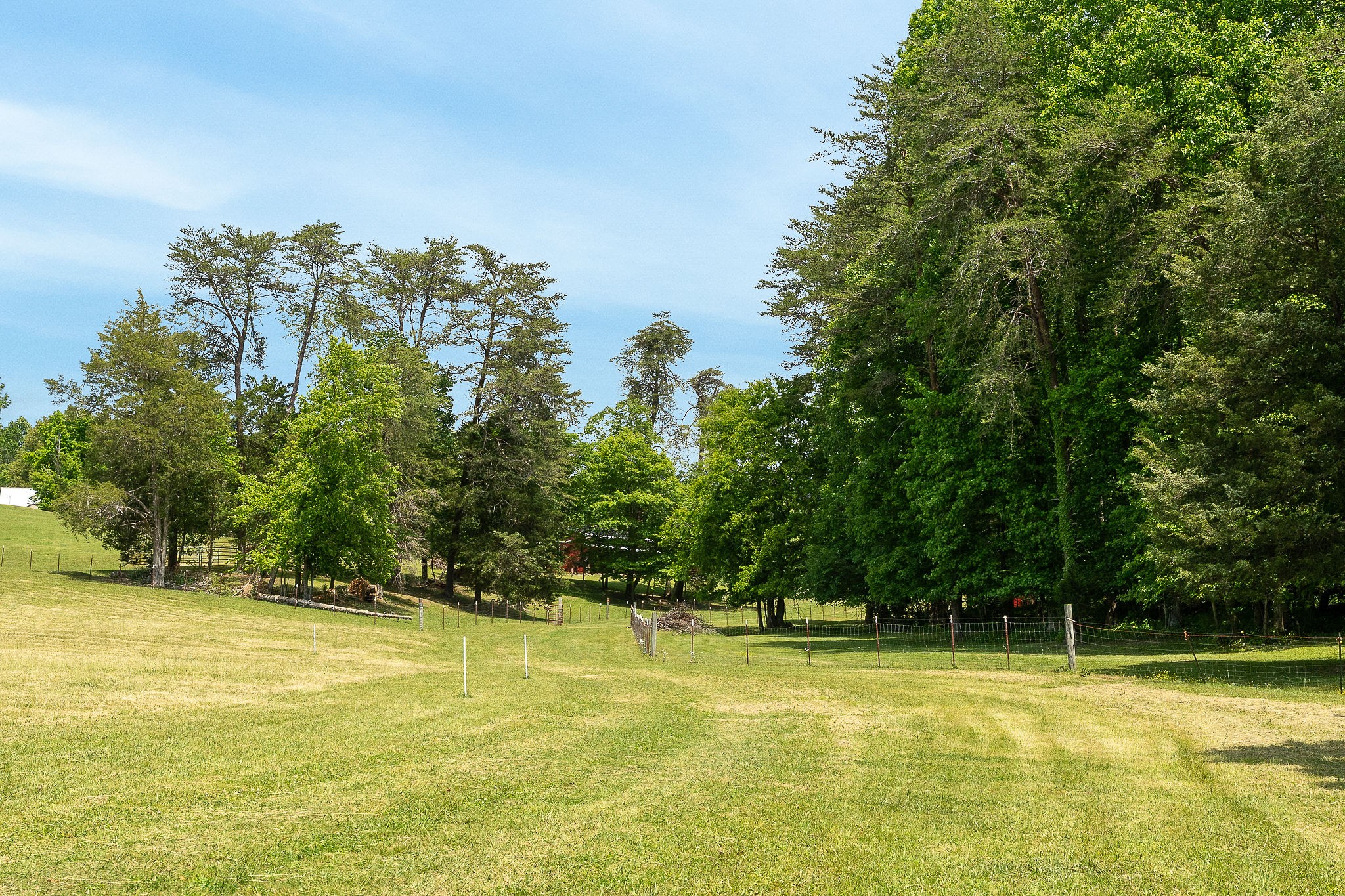 29 Acres Standing Stone Highway Hilham TN 38568