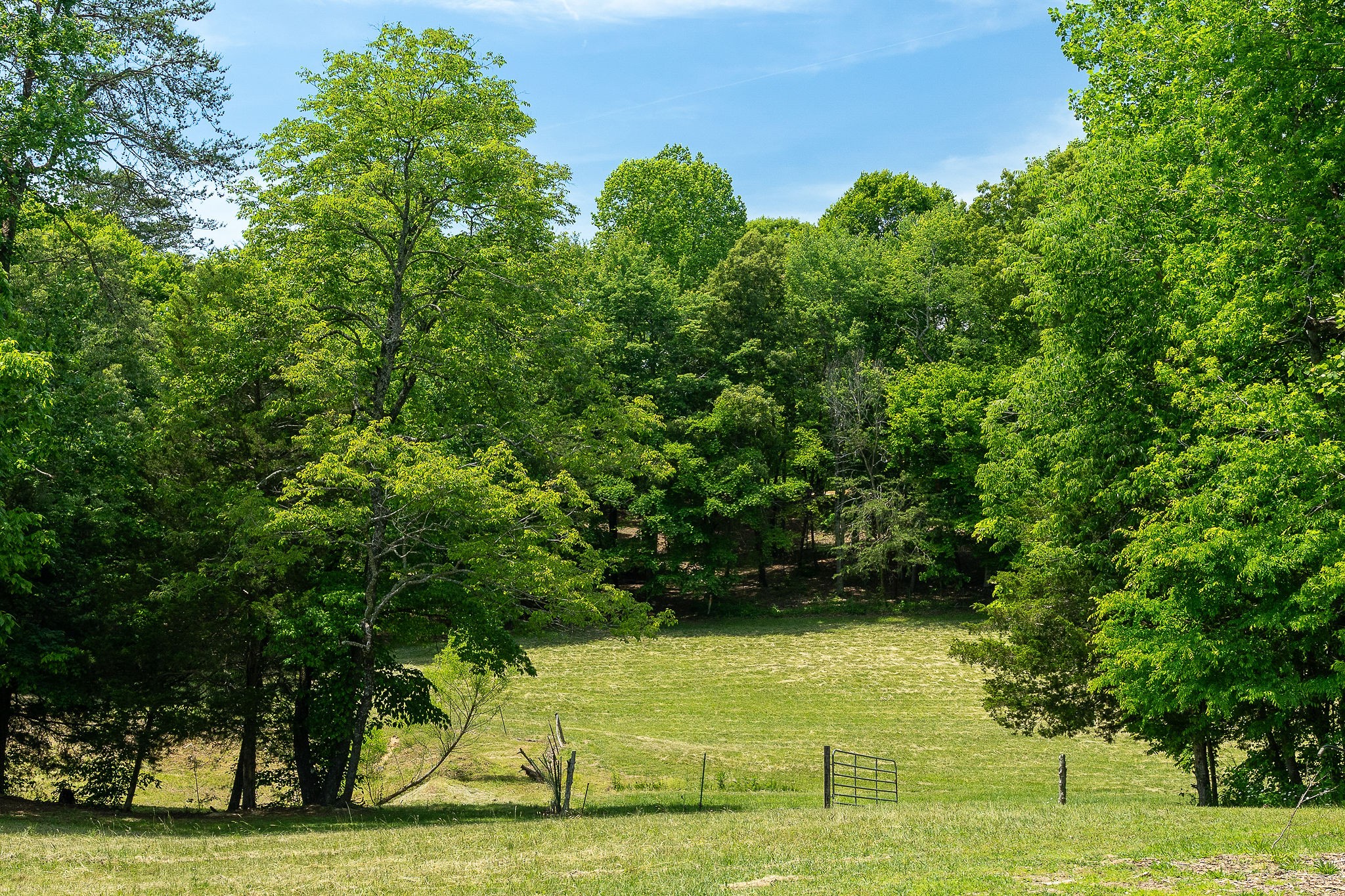 29 Acres Standing Stone Highway Hilham TN 38568