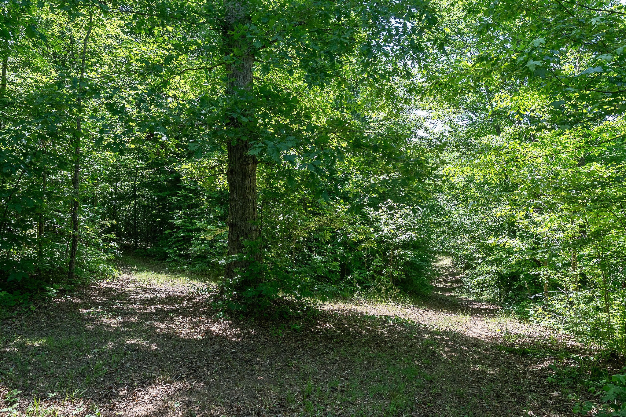 29 Acres Standing Stone Highway Hilham TN 38568