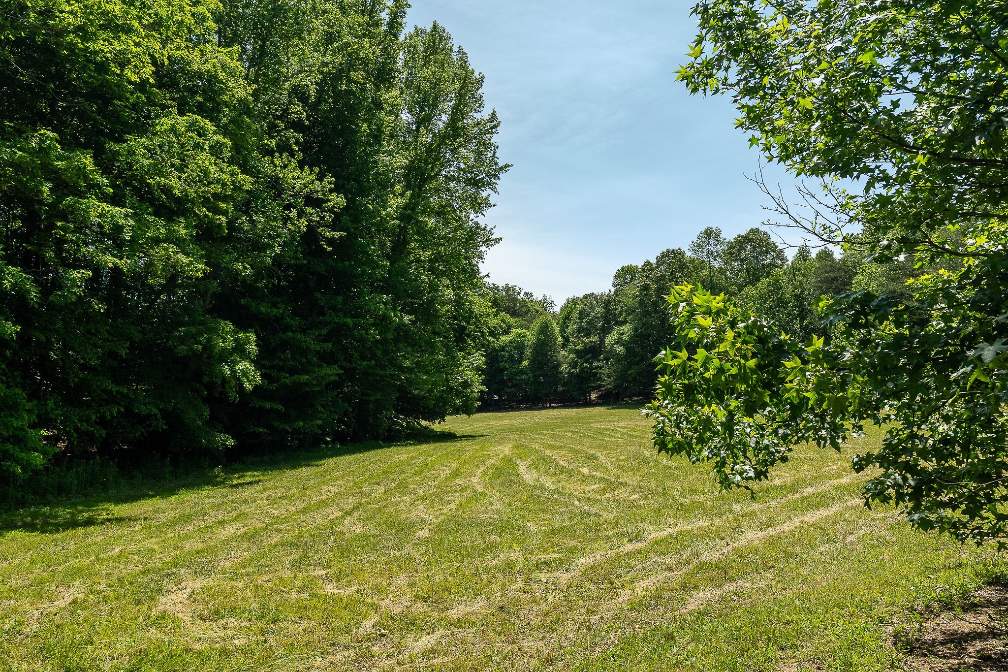 29 Acres Standing Stone Highway Hilham TN 38568