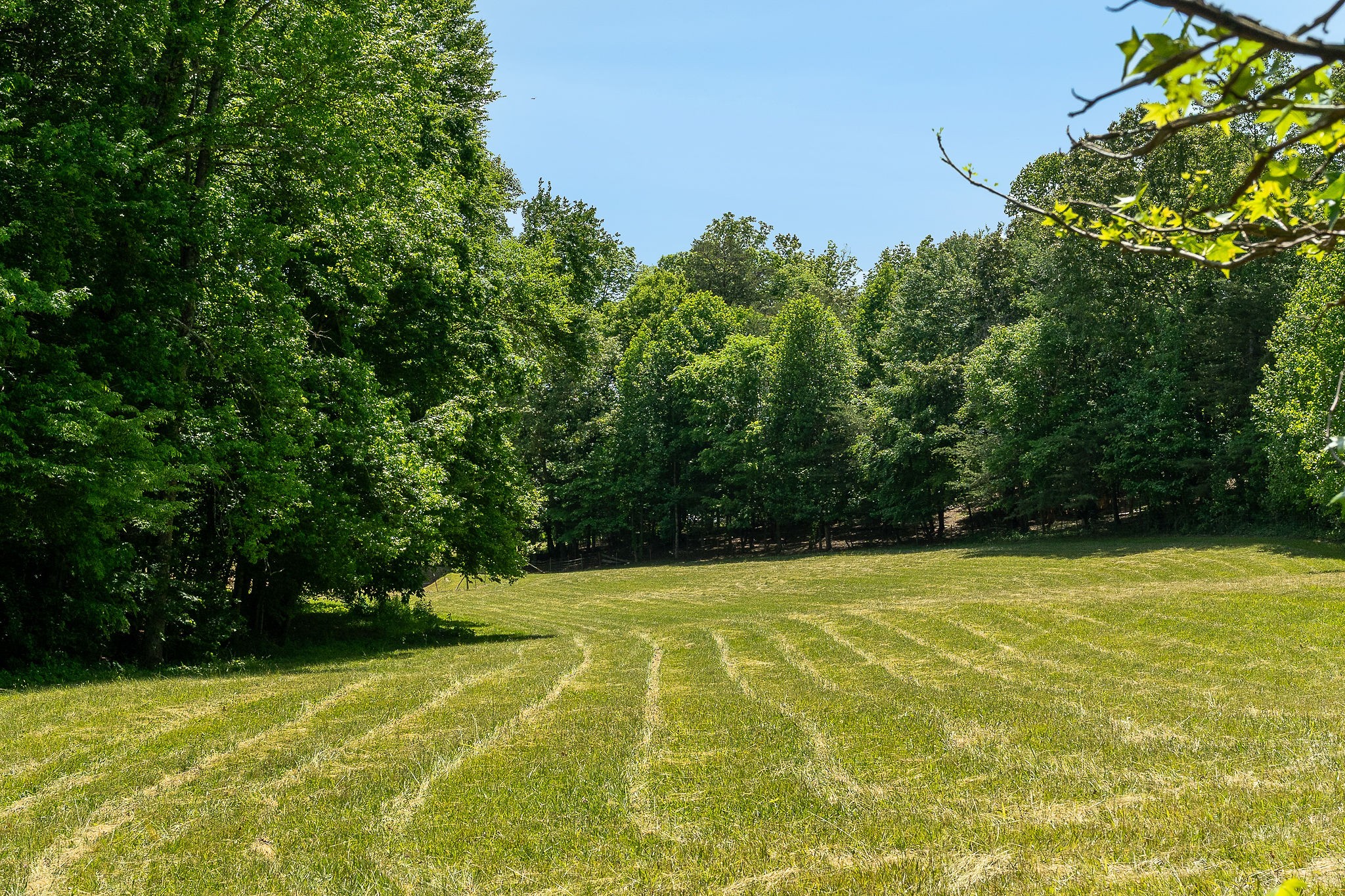 29 Acres Standing Stone Highway Hilham TN 38568