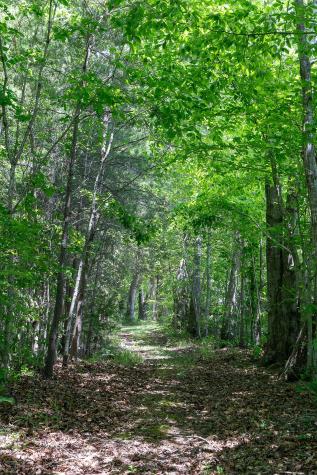 29 Acres Standing Stone Highway Hilham TN 38568