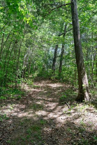 29 Acres Standing Stone Highway Hilham TN 38568
