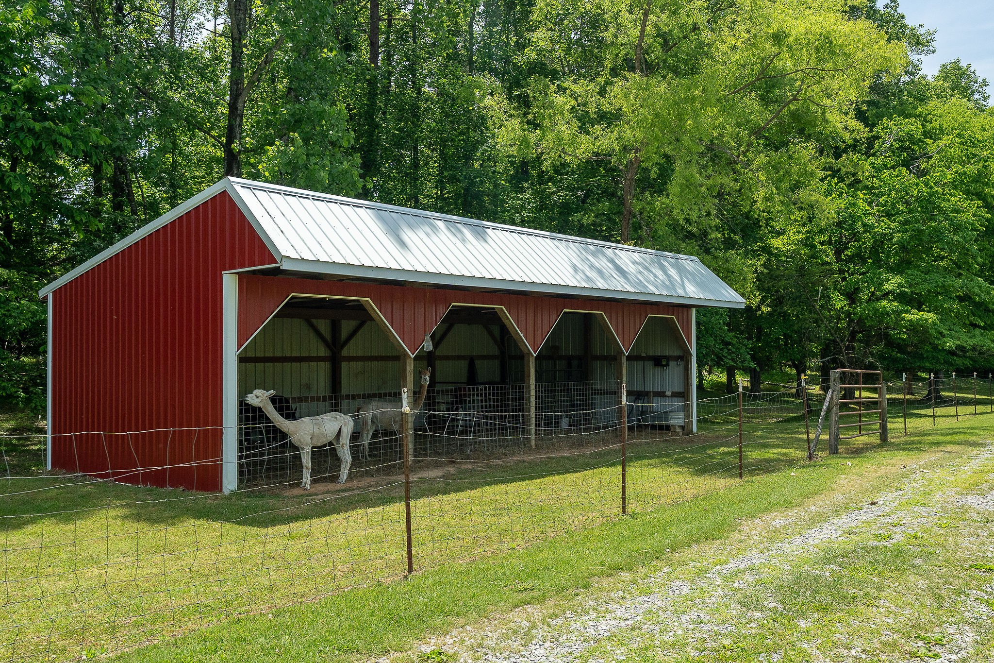 29 Acres Standing Stone Highway Hilham TN 38568