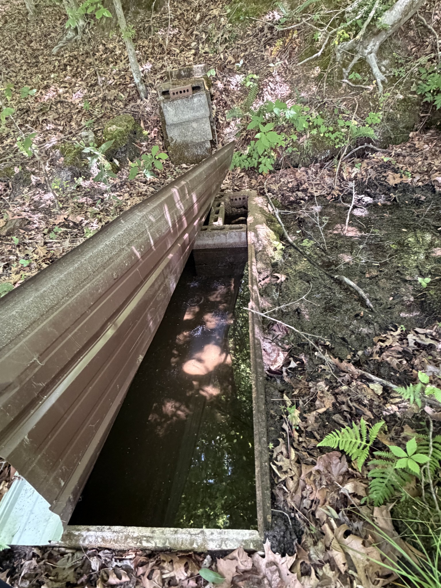 29 Acres Standing Stone Highway Hilham TN 38568
