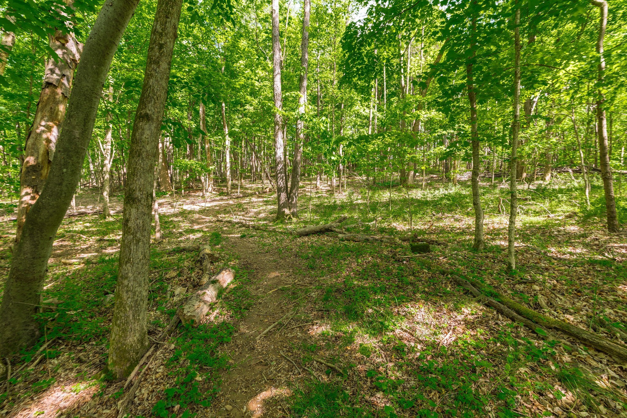 5215 Brick Church Pike Goodlettsville TN 37072