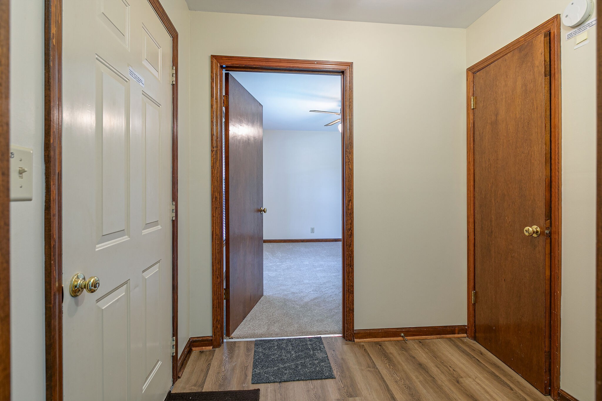 517 Woods Drive Columbia TN 38401