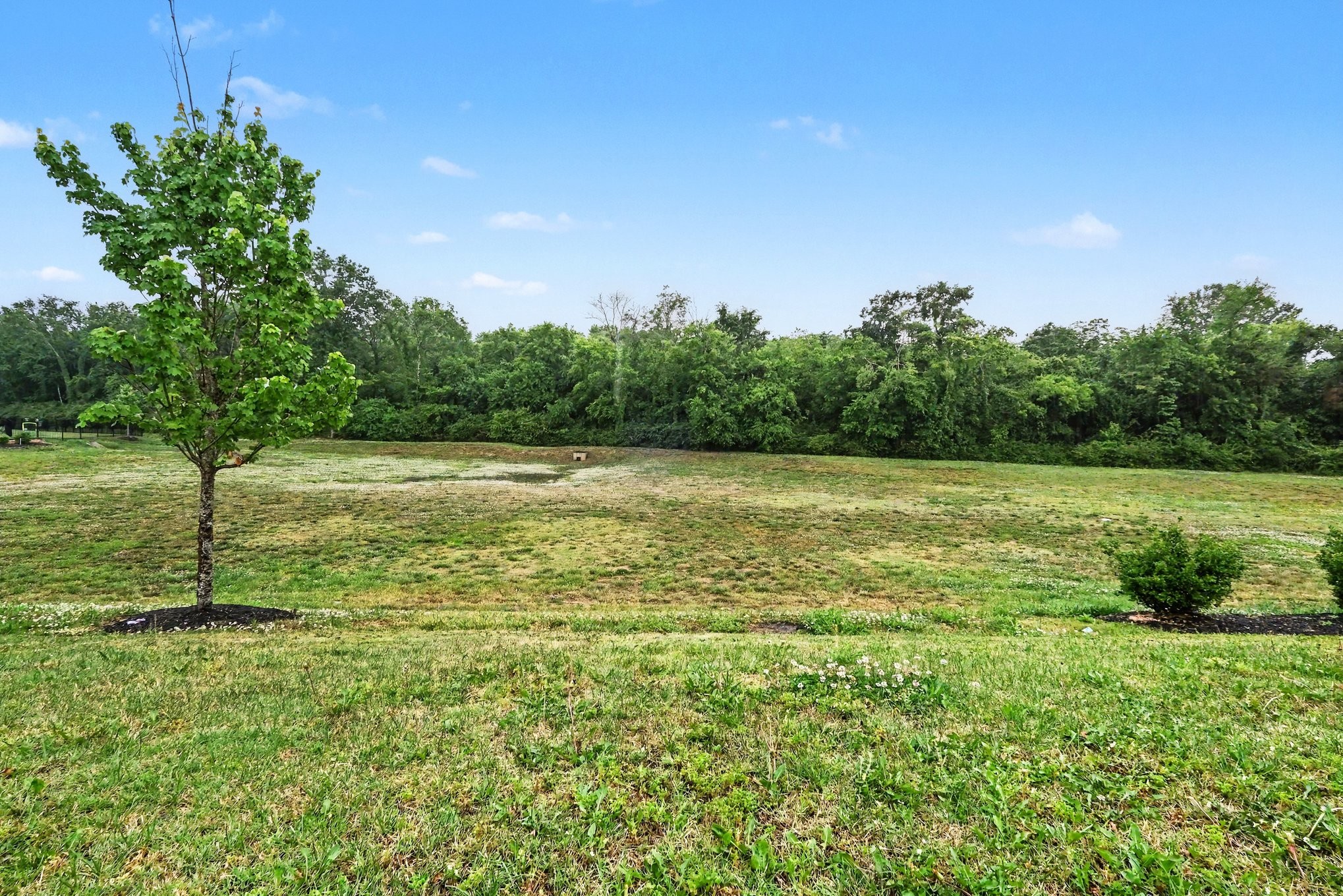 3652 Stormy Lane Rockvale TN 37153