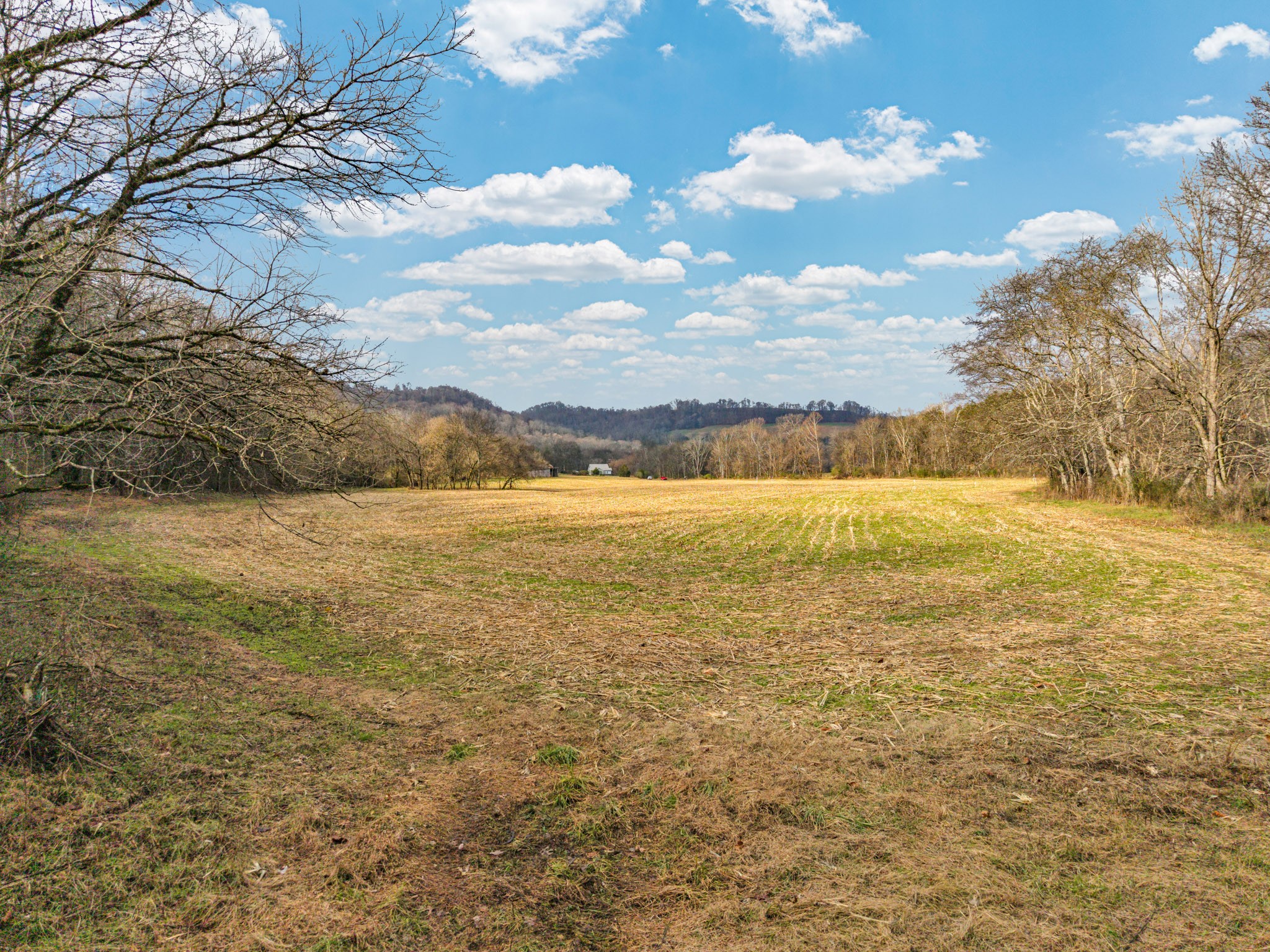 0 E Of Dry Fork Road Granville TN 38564