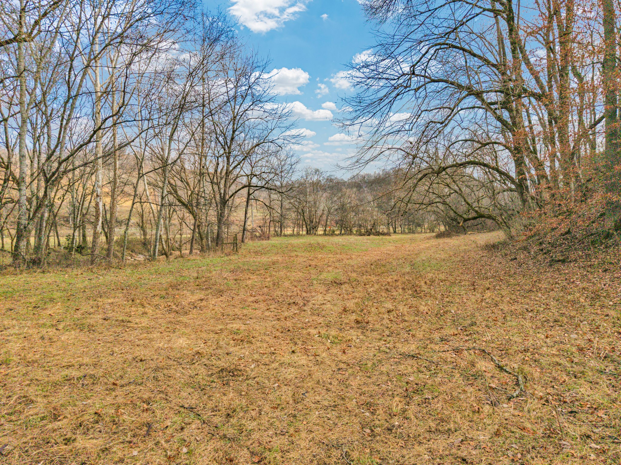 0 E Of Dry Fork Road Granville TN 38564