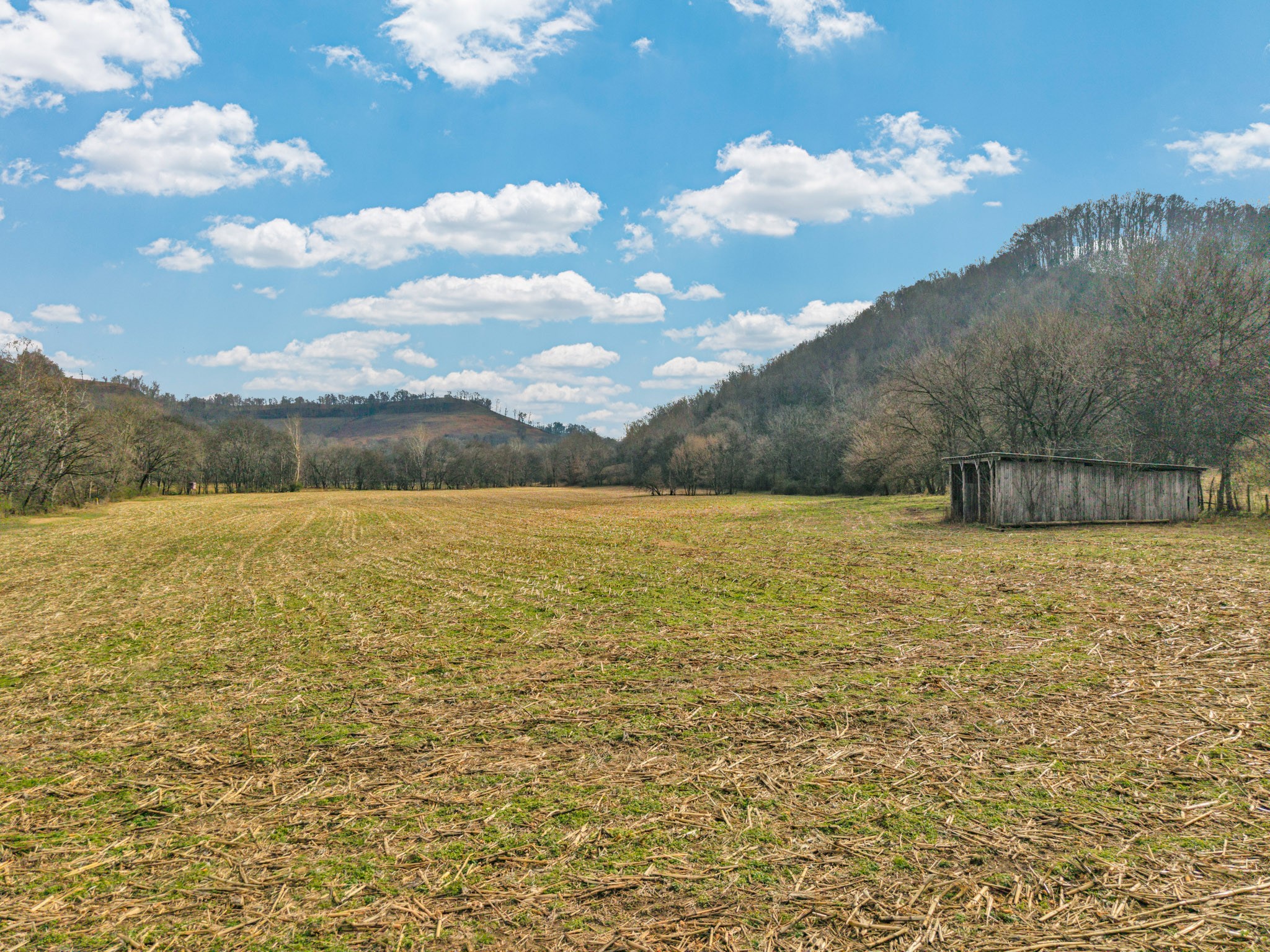 0 E Of Dry Fork Road Granville TN 38564