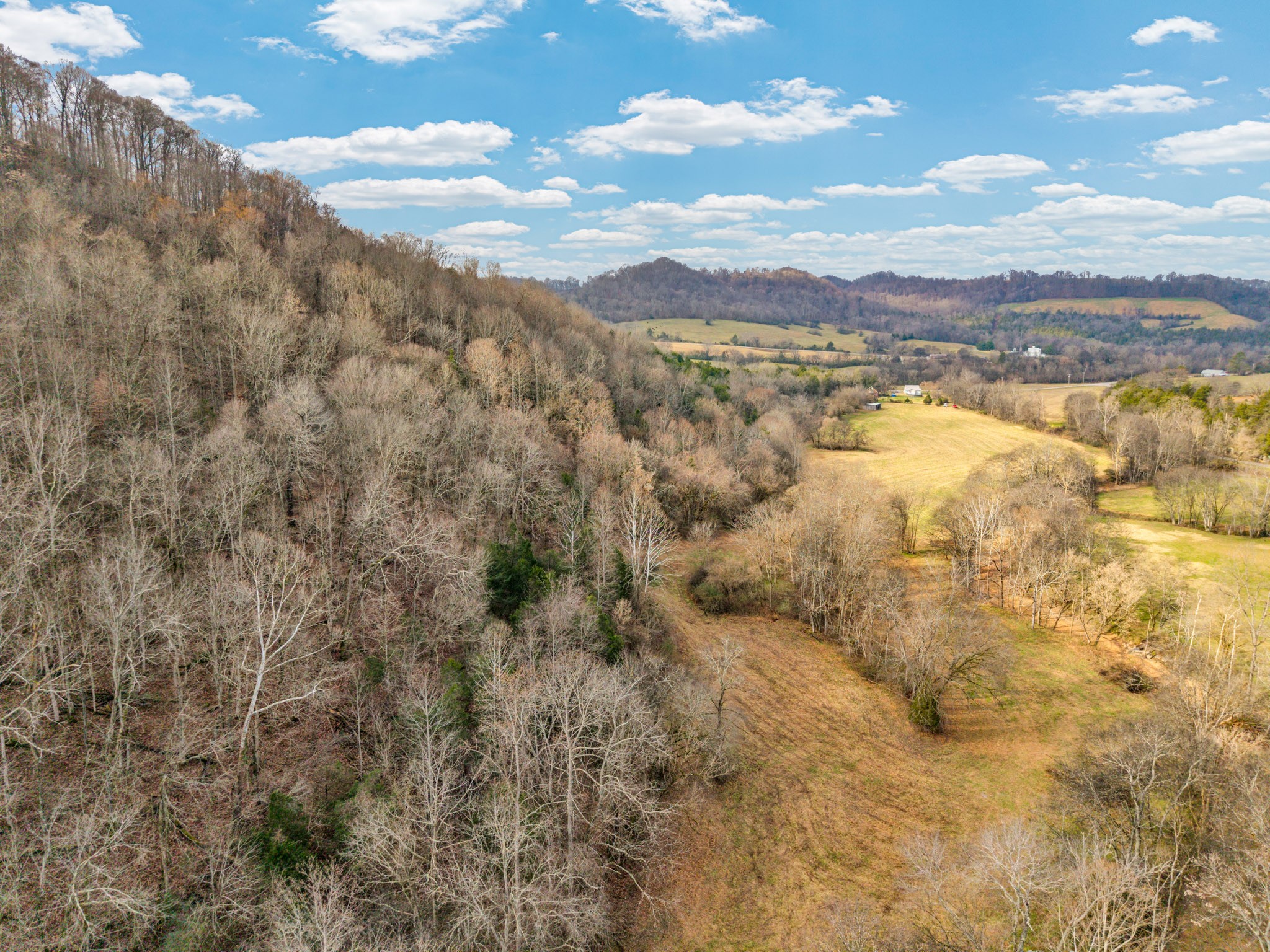 0 E Of Dry Fork Road Granville TN 38564