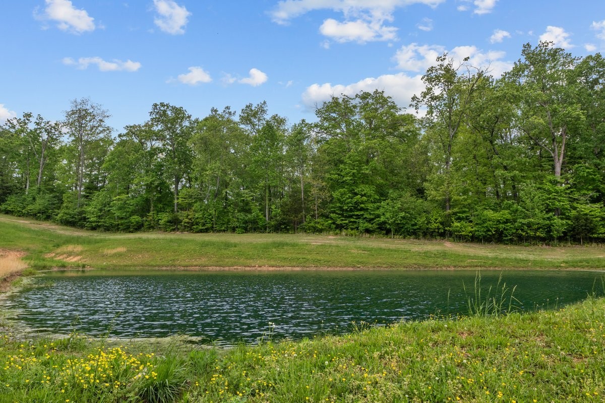 531 Wilson Hollow Road Dickson TN 37055