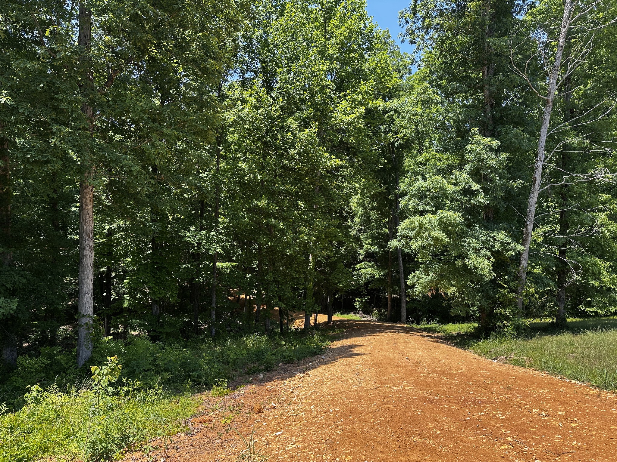 Loretto TN, Littrell Road