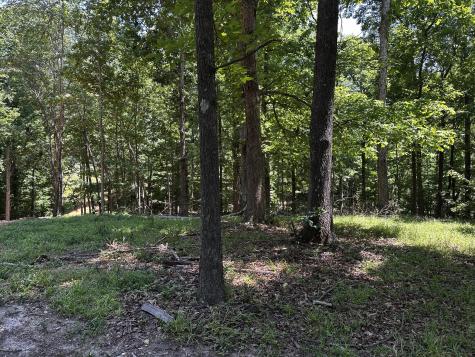 0 Littrell Road Loretto TN 38469