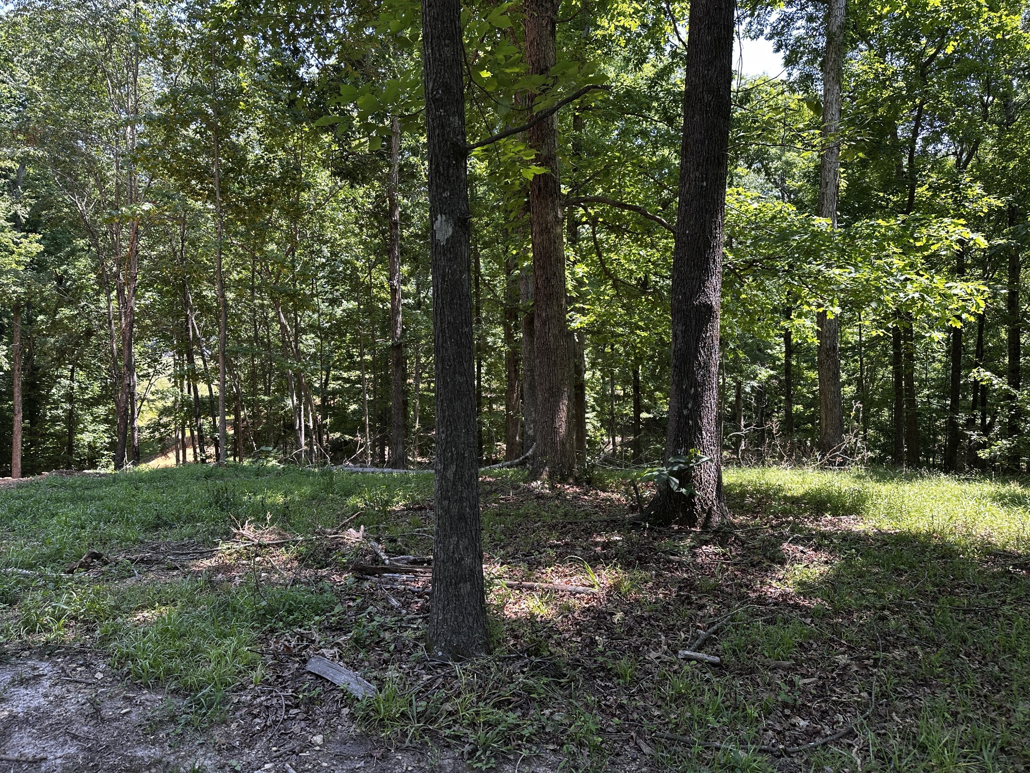0 Littrell Road Loretto TN 38469