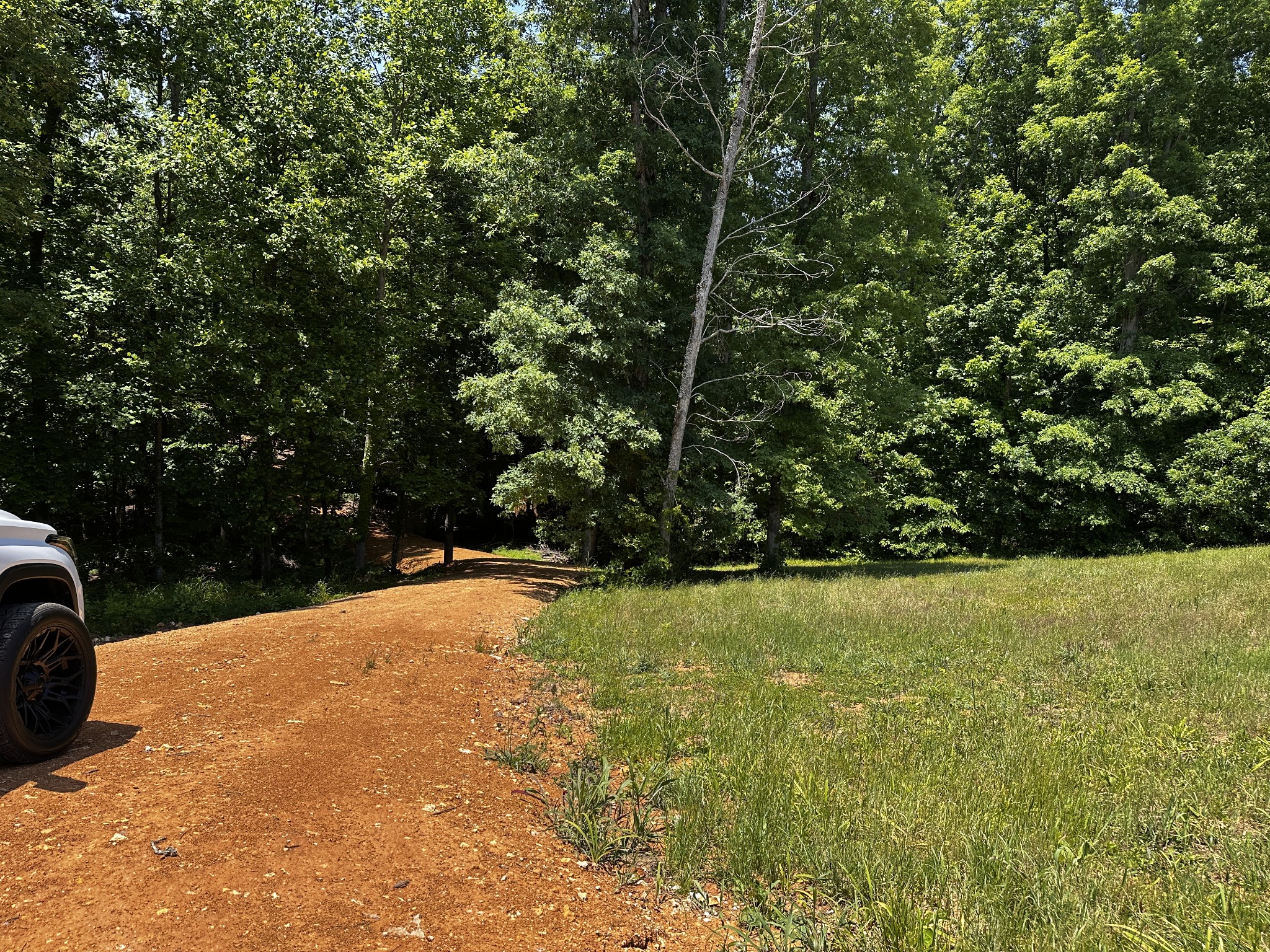 0 Littrell Road Loretto TN 38469