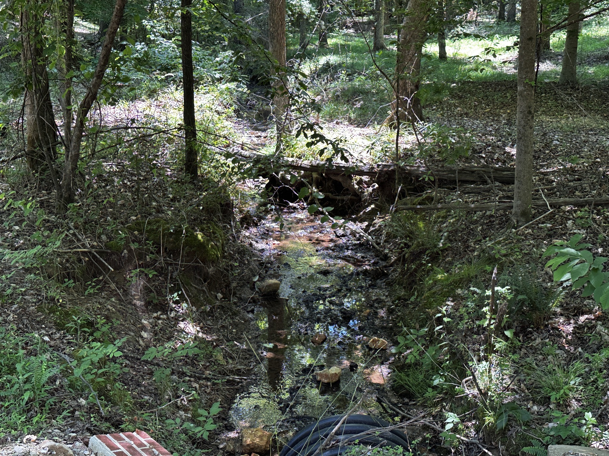 0 Littrell Road Loretto TN 38469
