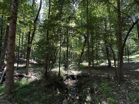 0 Littrell Road Loretto TN 38469