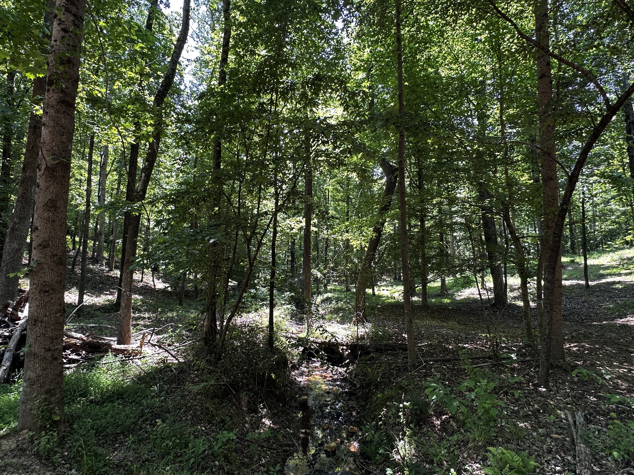 0 Littrell Road Loretto TN 38469
