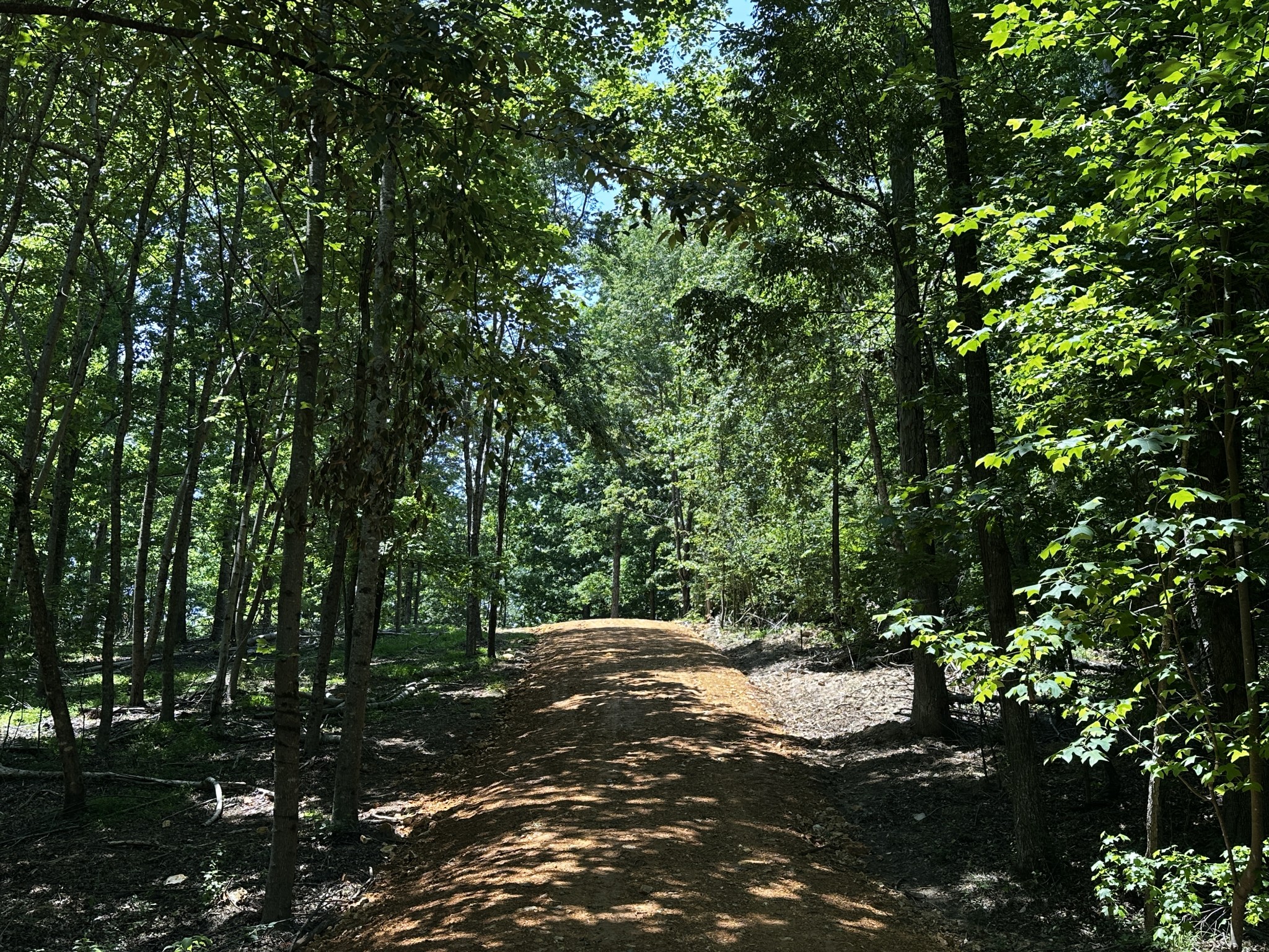 0 Littrell Road Loretto TN 38469