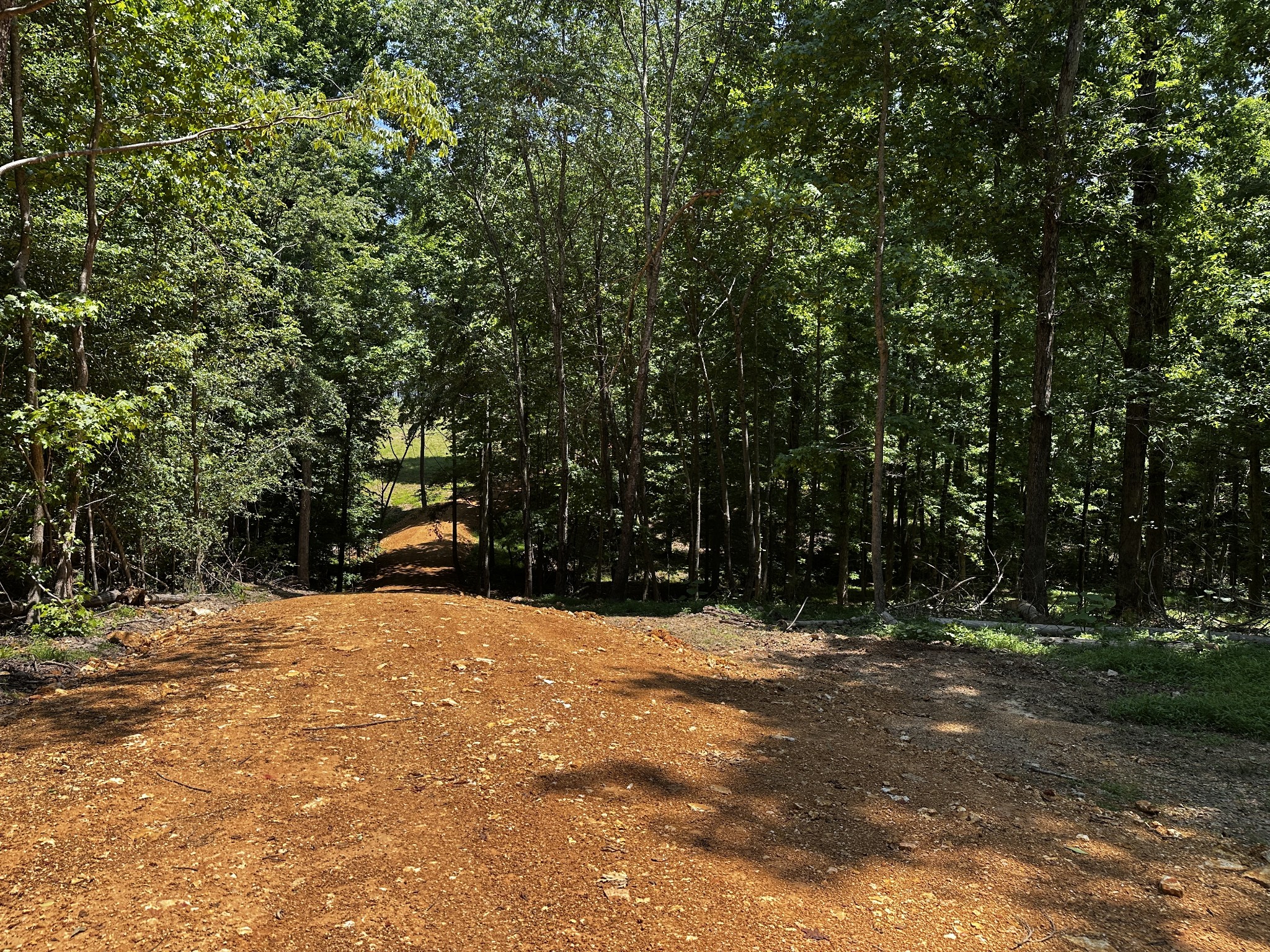 0 Littrell Road Loretto TN 38469