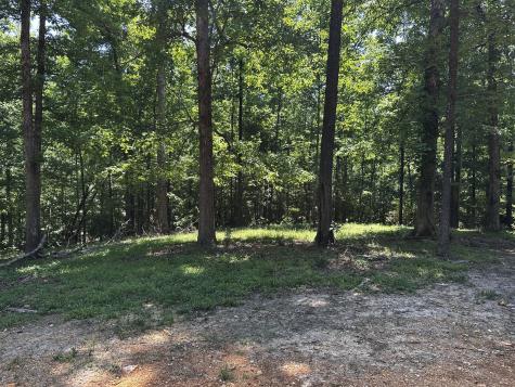0 Littrell Road Loretto TN 38469