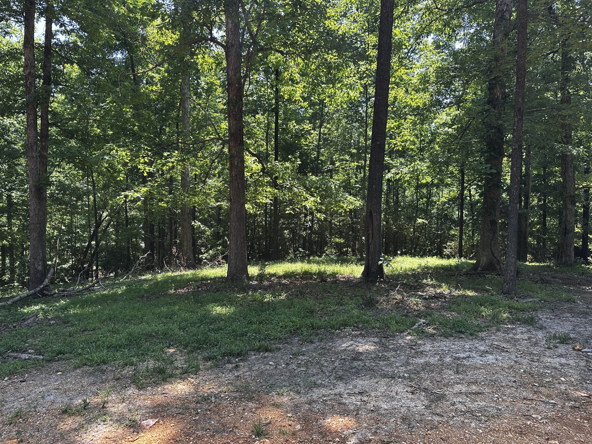 0 Littrell Road Loretto TN 38469
