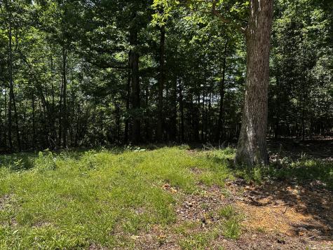 0 Littrell Road Loretto TN 38469