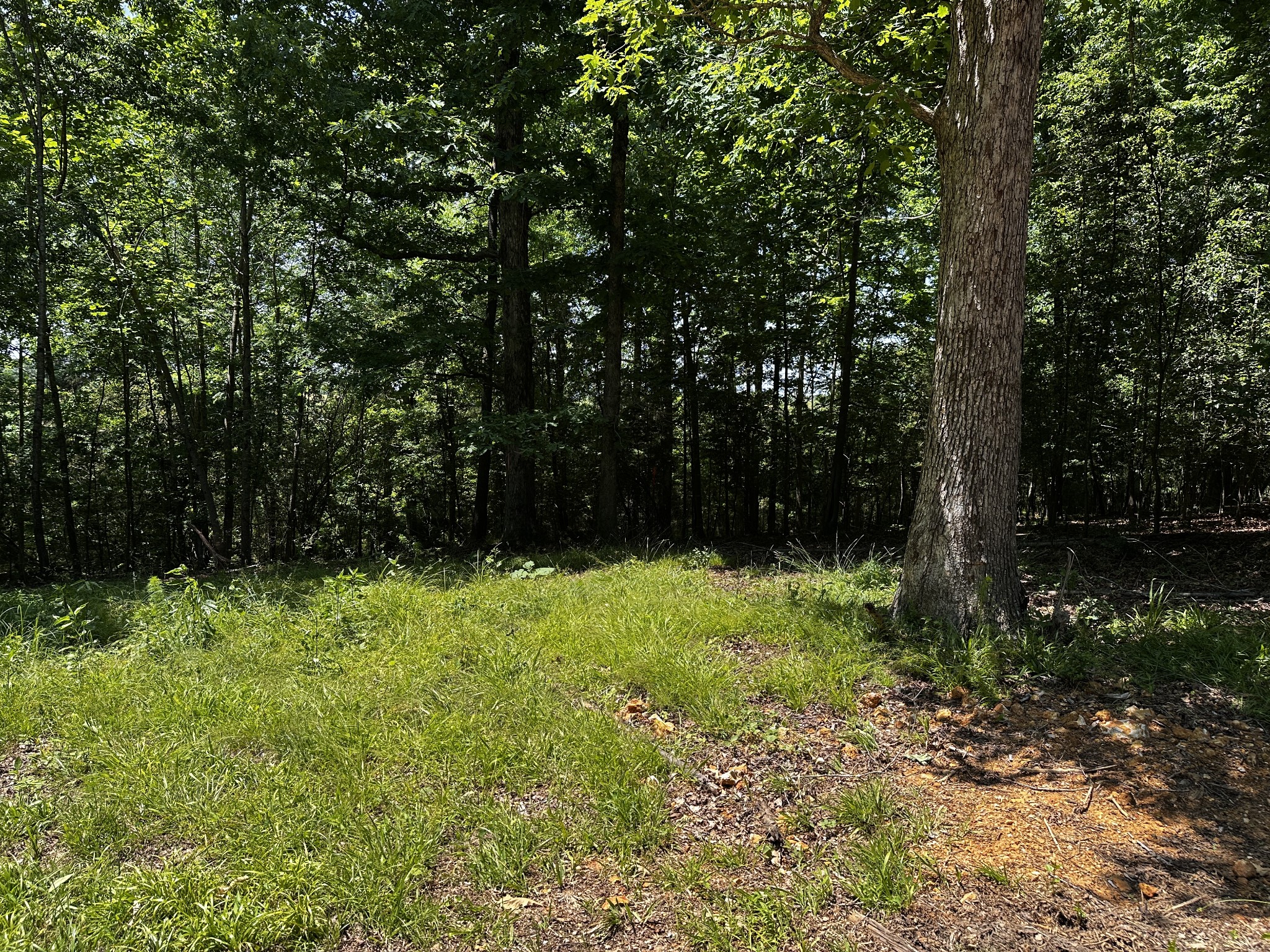 0 Littrell Road Loretto TN 38469
