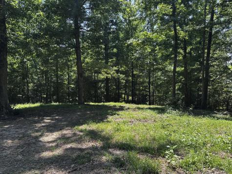 0 Littrell Road Loretto TN 38469