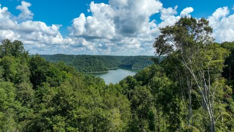 0 S Peninsulas Edge Court Smithville TN 37166