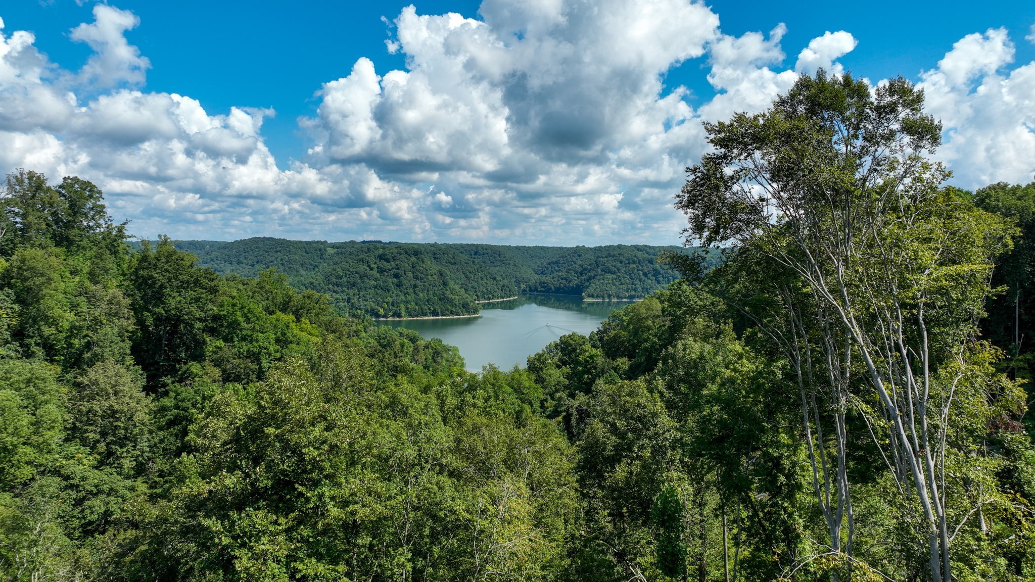 0 S Peninsulas Edge Court Smithville TN 37166
