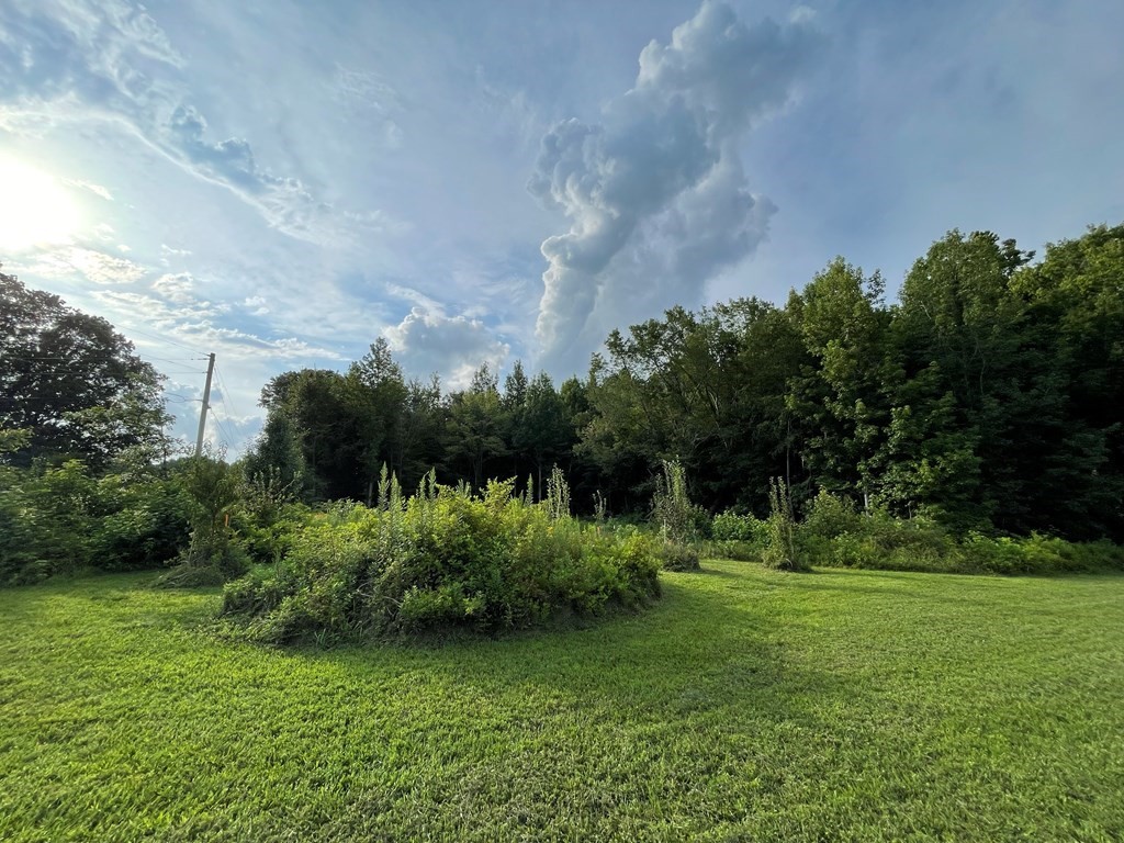 0 Somerset Drive Paris TN 38242
