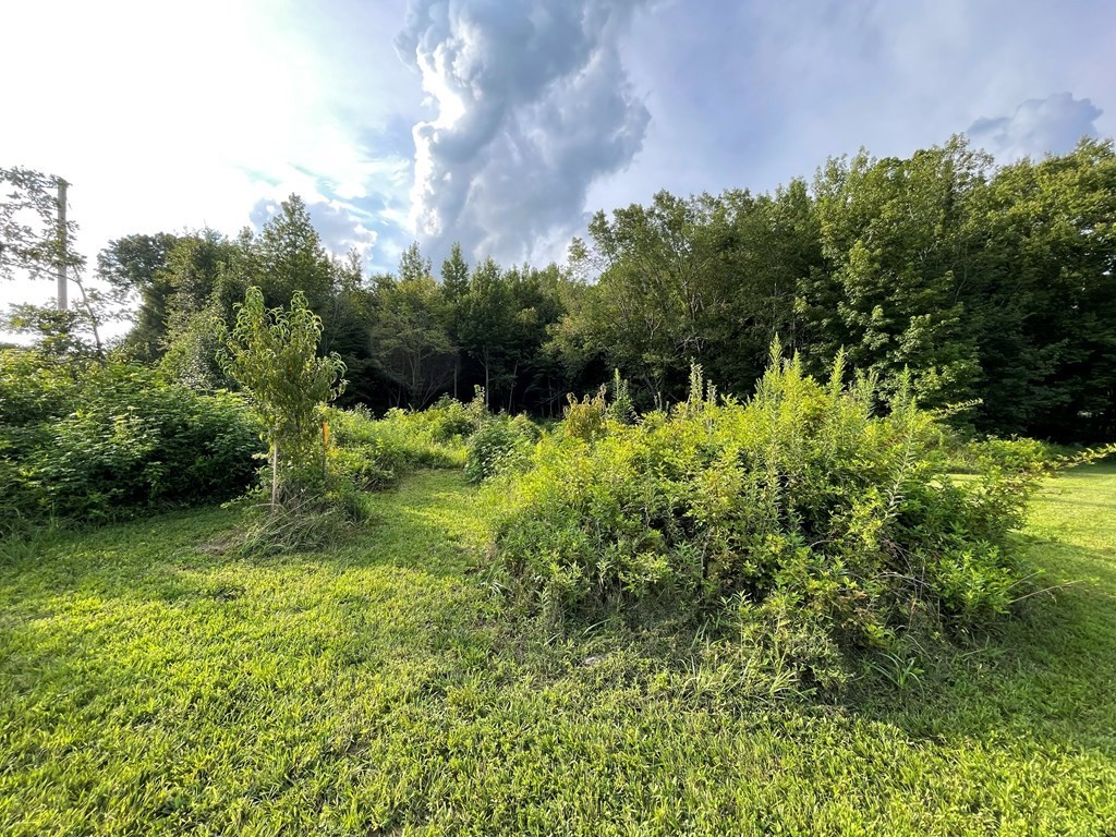 0 Somerset Drive Paris TN 38242
