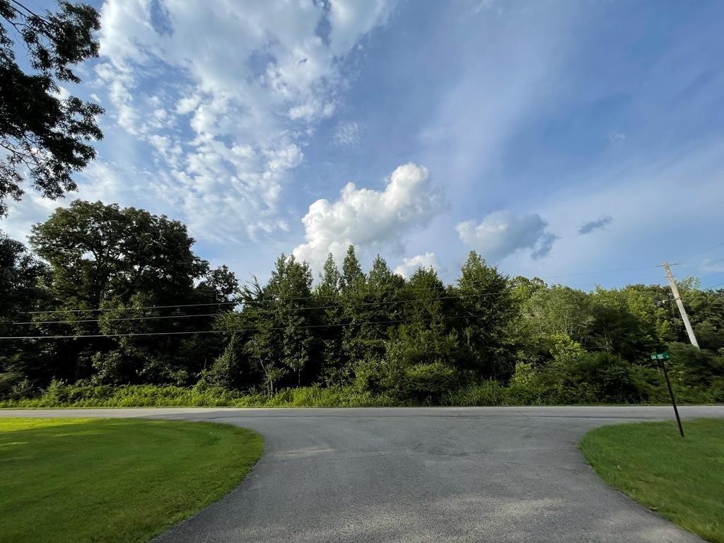 0 Somerset Drive Paris TN 38242