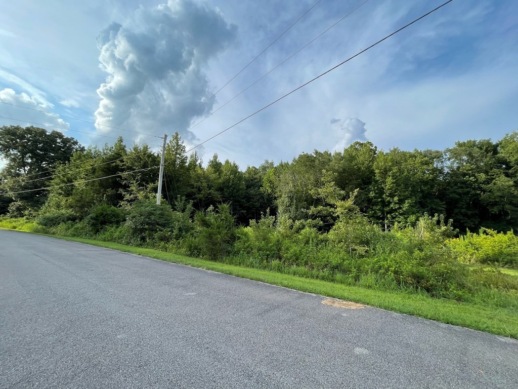 0 Somerset Drive Paris TN 38242