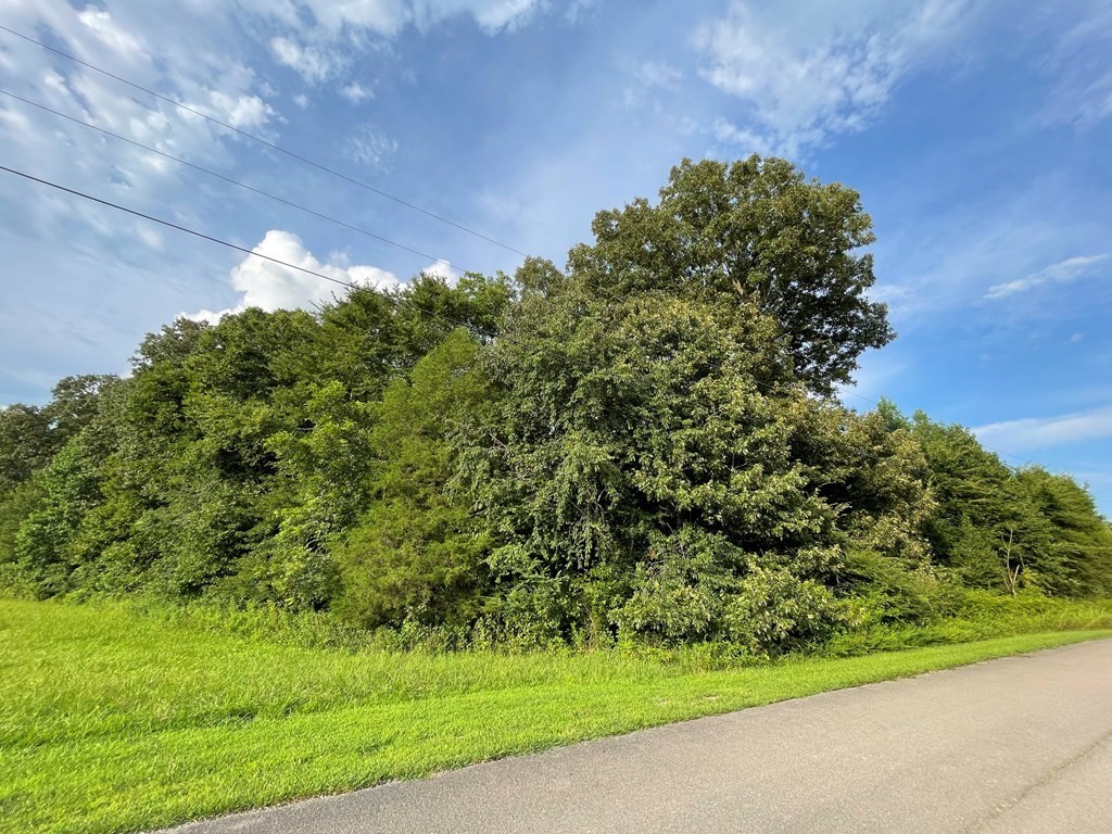 0 Somerset Drive Paris TN 38242