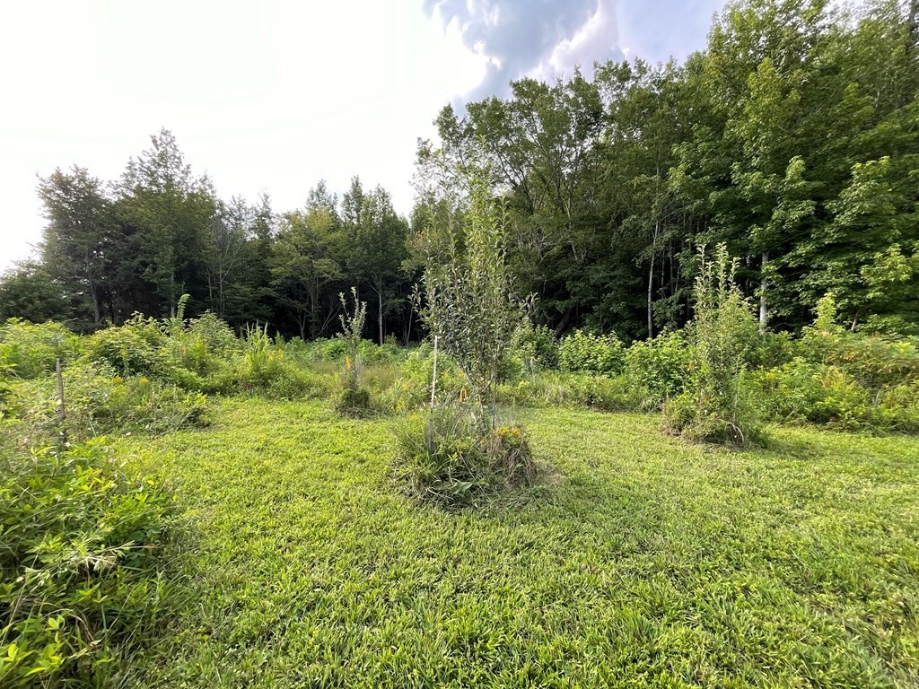 0 Somerset Drive Paris TN 38242