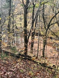 482 Mattingly Drive Clarksville TN 37042