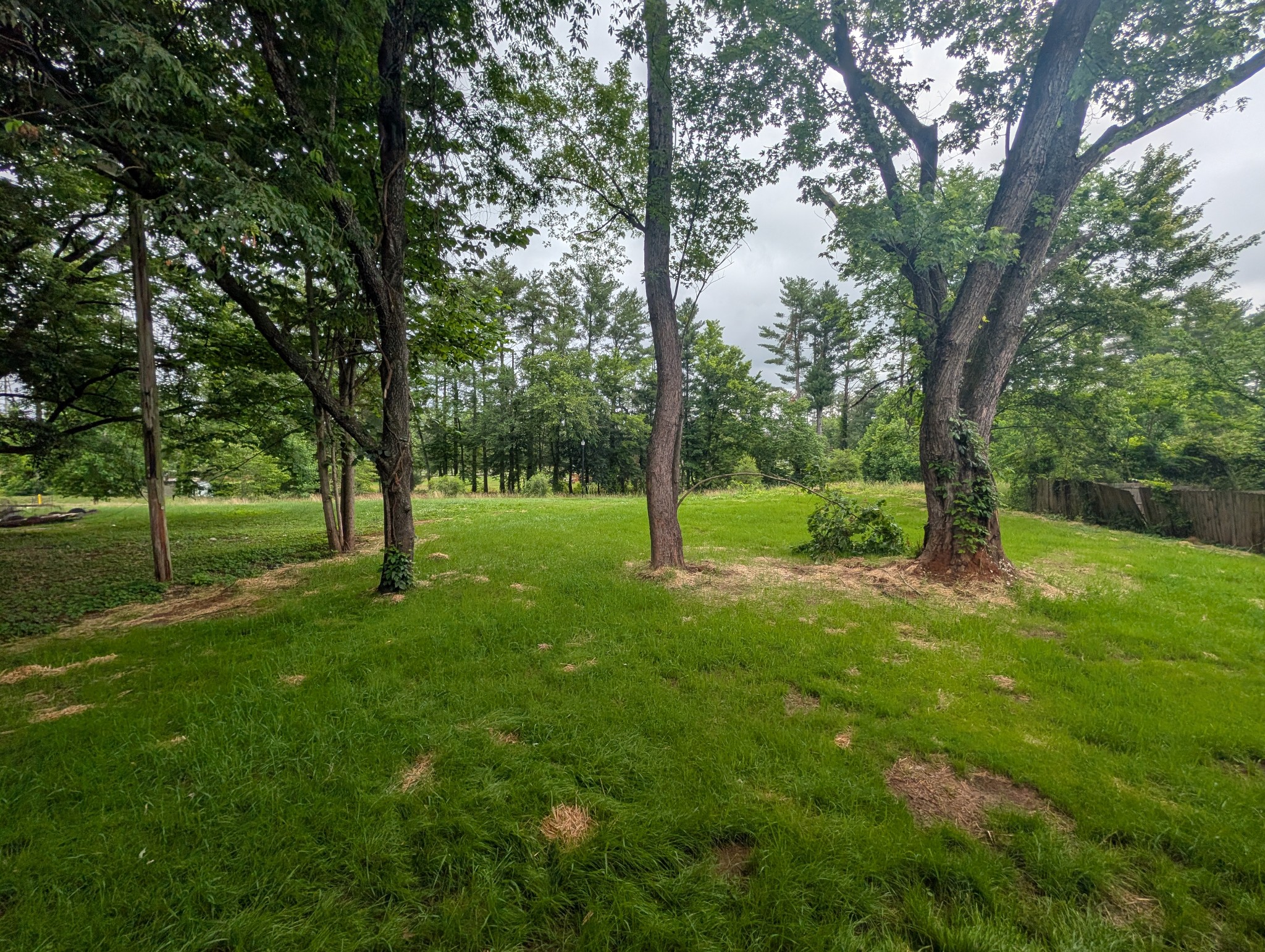 1720 Allison Avenue Columbia TN 38401