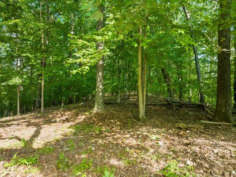 0 Ridgeview Run Lynchburg TN 37352
