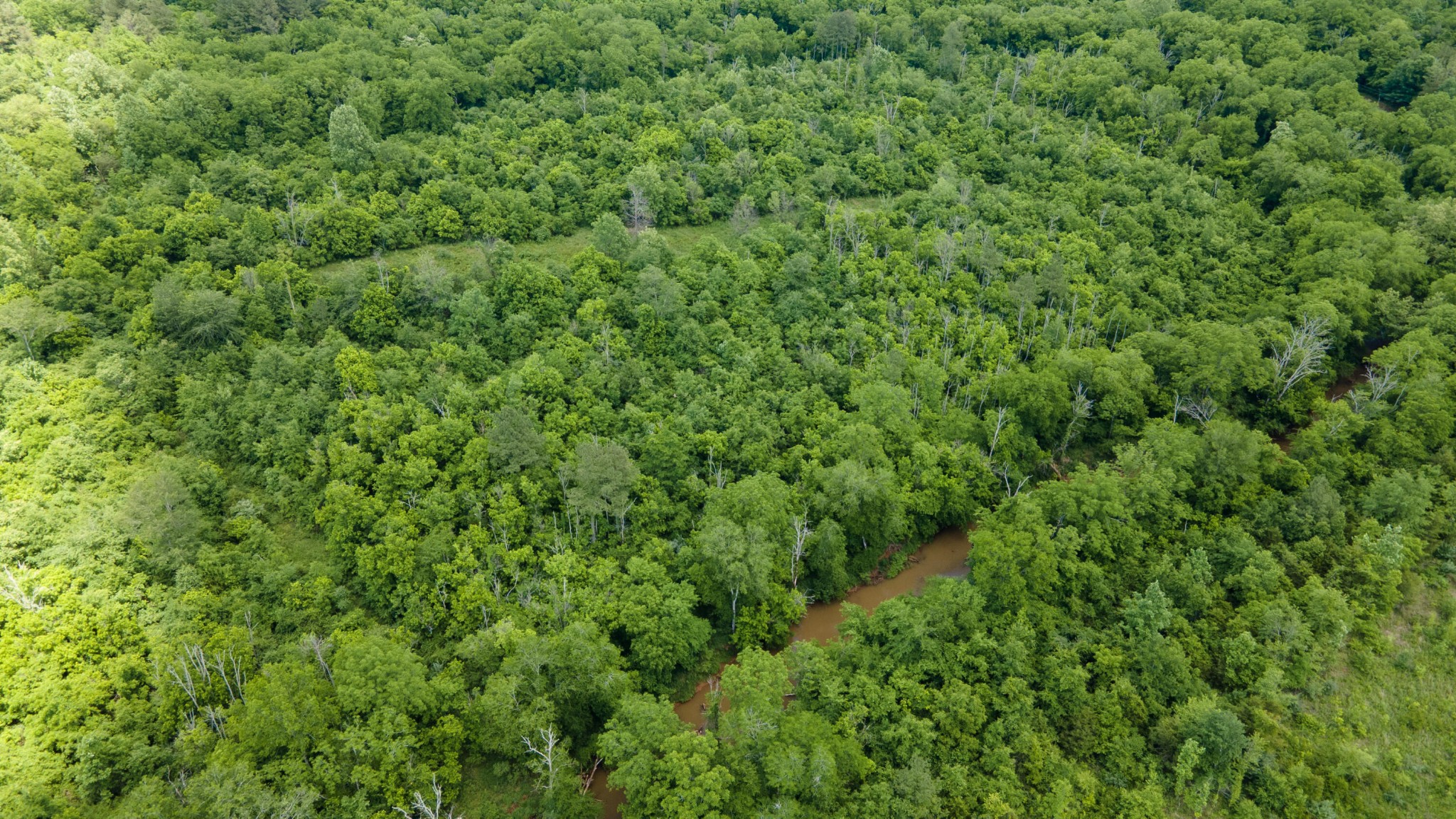 3 State Highway 163 Calhoun TN 37309