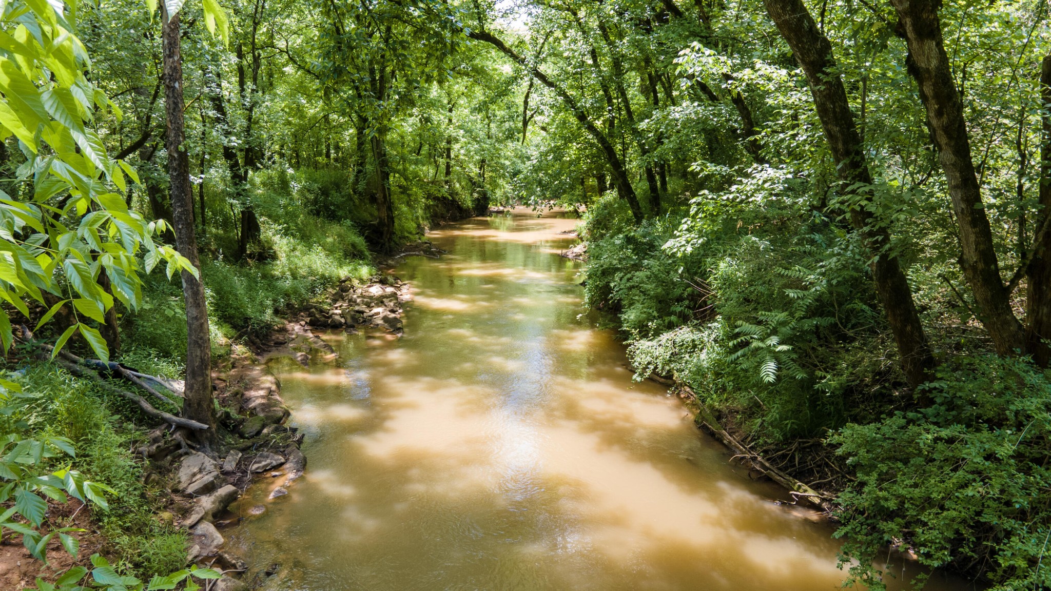 3 State Highway 163 Calhoun TN 37309