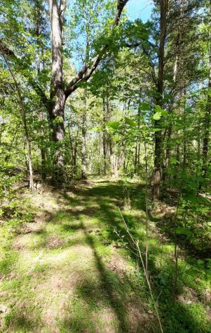 195 Atchison Road Camden TN 38320